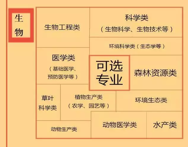 根據(jù)特長選專業(yè)，高中各門課程對應(yīng)大學(xué)專業(yè)實用盤點，志愿填報的你不可錯過！