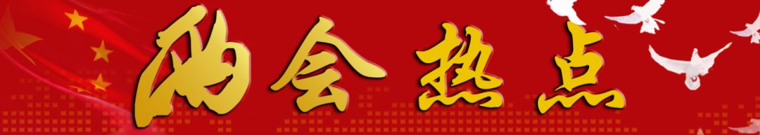 與你相關(guān)！政府工作報告釋放了什么教育信號？聽代表委員為你解讀 | 兩會熱點