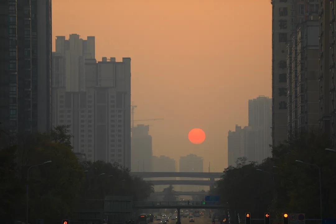 重磅！今后我省這些專業(yè)擬在一本招生